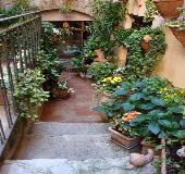 Possibile mettere piante e fiori su pianerottoli e scale in condominio?