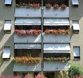 Piante e fiori situati sul balcone possano configurare un